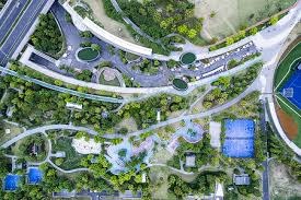 《女子棒球的崛起：那个敢于在男子联赛中投球的女孩们》