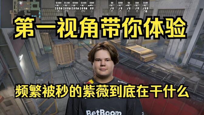 的判定指南 的判定指南
